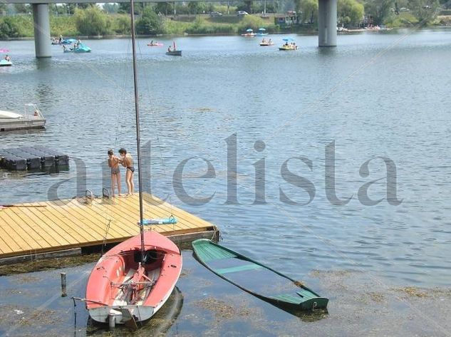 Niños en el embarcadero 