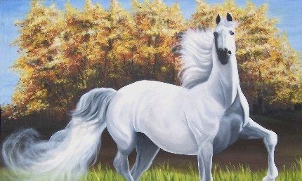 Paisajes y caballos