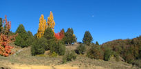 Cerrito pintado