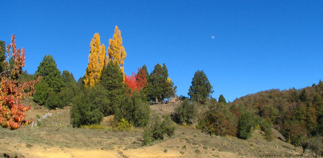 Cerrito pintado 