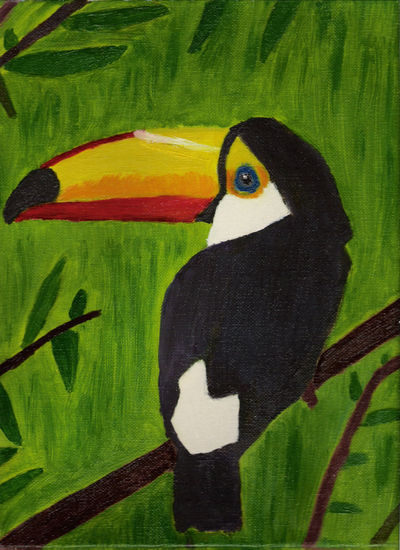 tucan Oil Canvas Animals