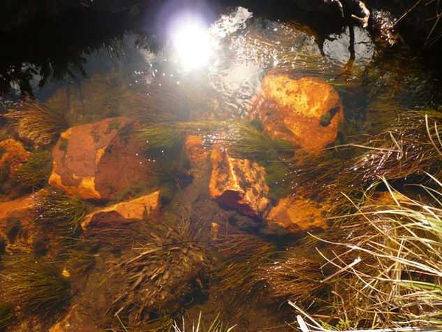 NACIMIENTO DEL RIO BOGOTA 