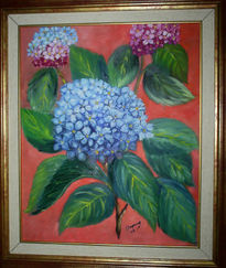 Hortensias