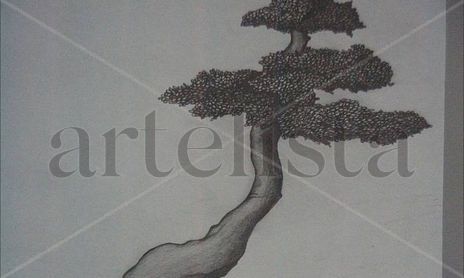 bonsai