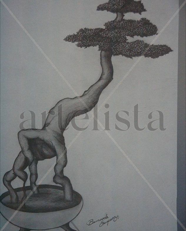 coleccion bonsai