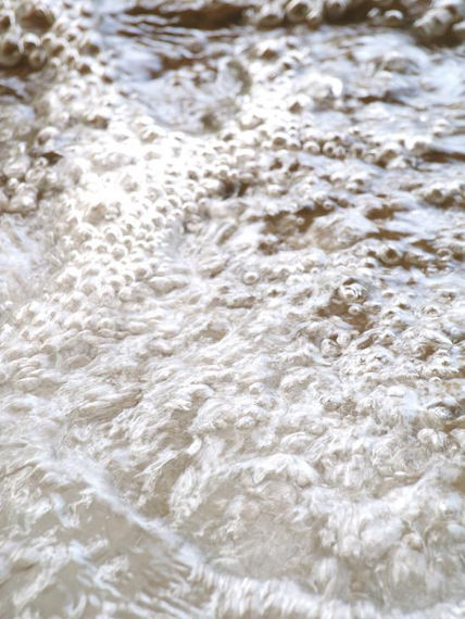 Agua 1