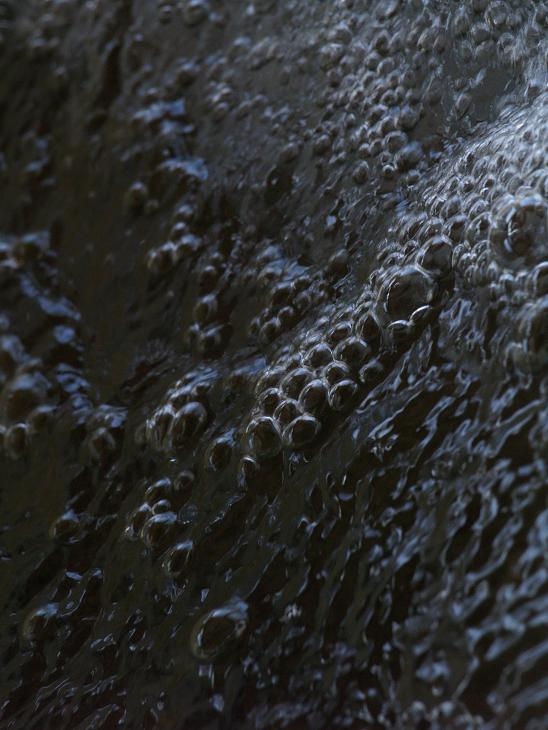 agua 4