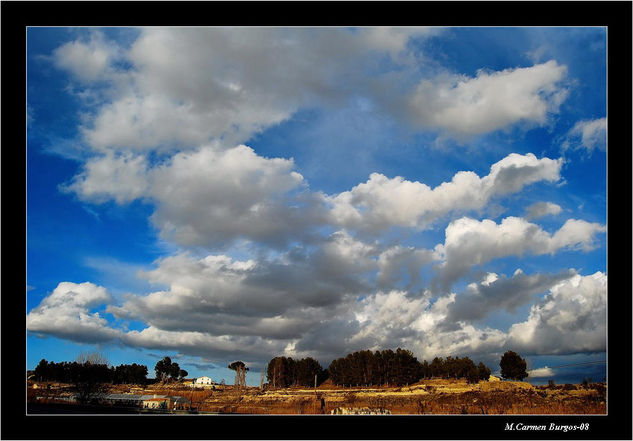 Después de una suave lluvia Naturaleza Color (Digital)