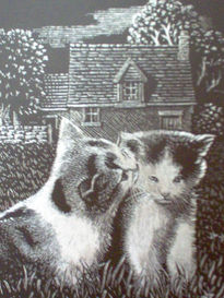 Gatos