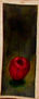 Manzana vertical