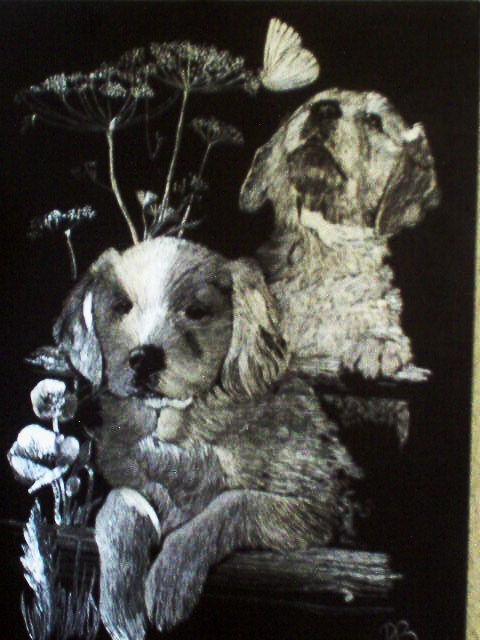 cães