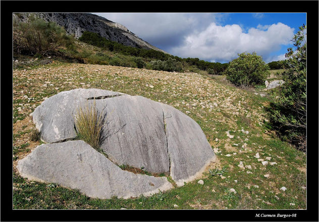 Supervivencia en la Piedra
