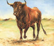 CAMPO 6