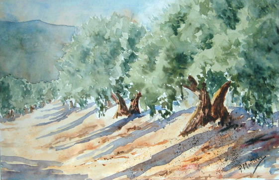 Olivos Oil Canvas Landscaping