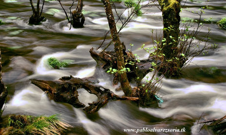 AGUA, RÍO,....