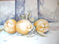 menbrillos apuntes