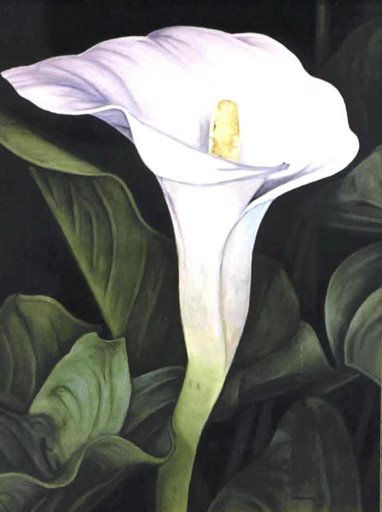 FLOR., CALA.