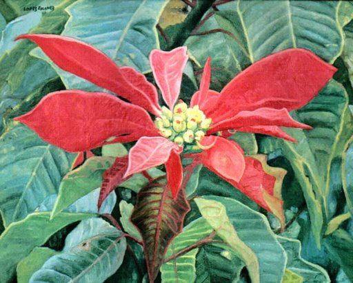 FLOR., DE PASCUA.