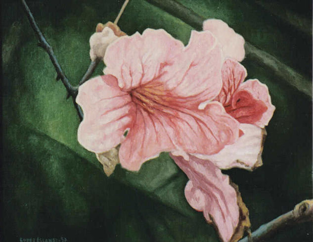 FLOR., CAMPANILLA. Oil Canvas Floral Painting