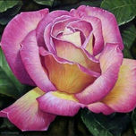 FLORES. thumbnail 1