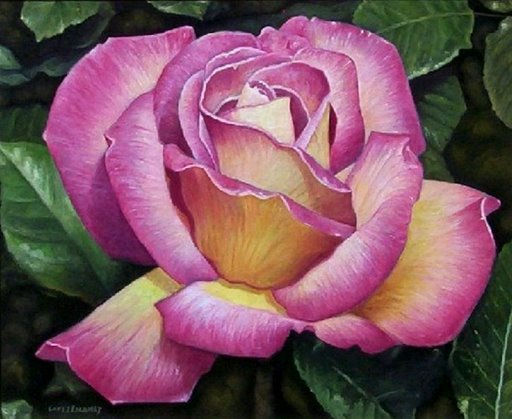 FLOR., ROSA. Oil Canvas Floral Painting