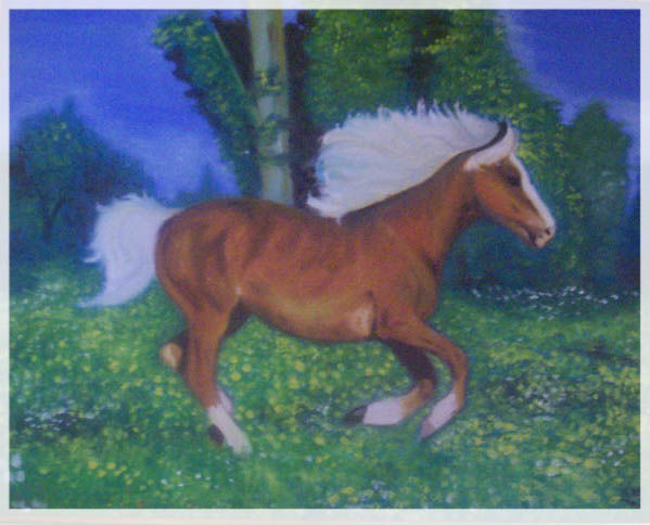 Caballo salvaje 