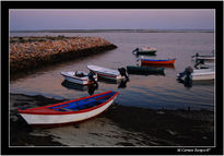 Pescadores en Tierra