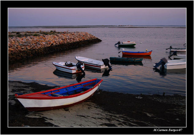 Pescadores en Tierra Nature Color (Digital)