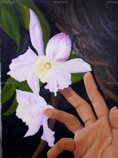 oliendo una orquidea Oil Canvas Others