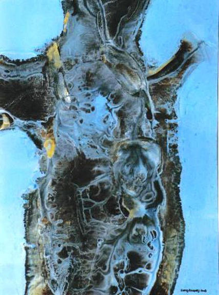 Embrión.