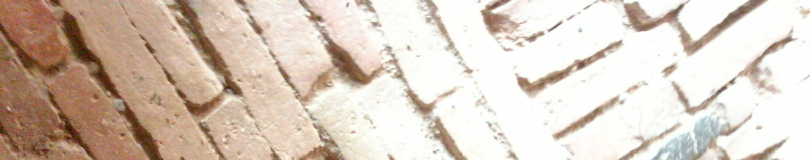 Imagen de portada