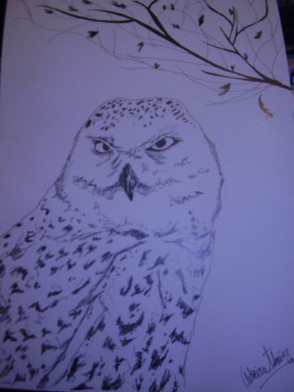 OWL Tinta Cartulina Animales