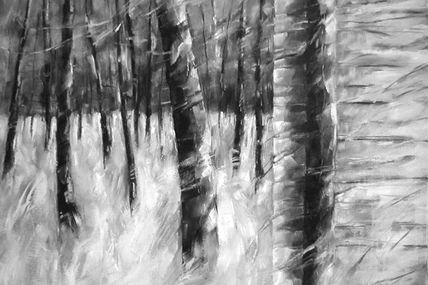 Forest 2