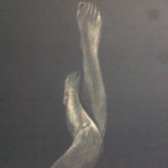 2008 thumbnail 2