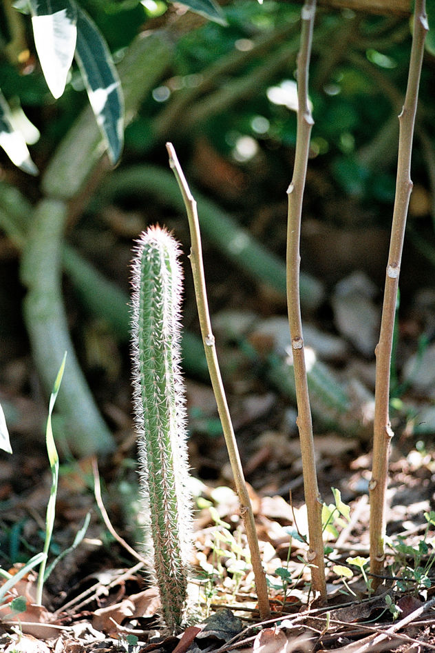 naturaleza