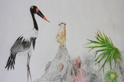 Jabiru y suricata