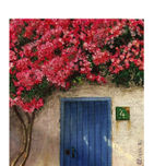 FLORES Y PAISAJES thumbnail 1