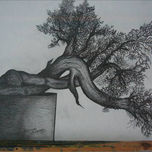 bonsai thumbnail 2