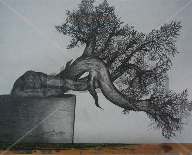 coleccion bonsai