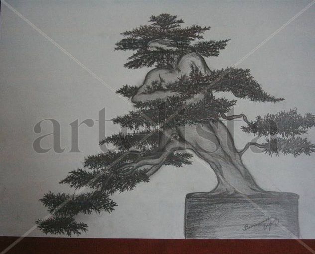 coleccion bonsai Lápiz