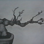 bonsai thumbnail 1