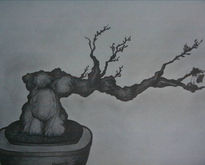 Coleccion bonsai