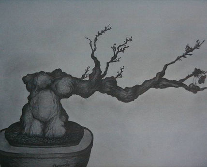 Coleccion bonsai