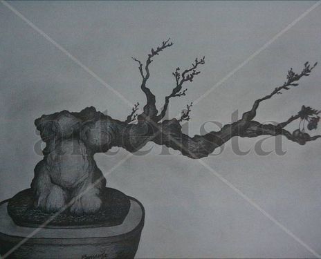 Coleccion bonsai