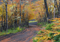 Camino Naranja