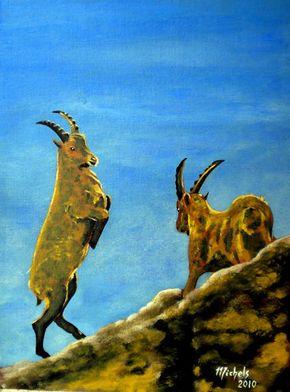 Steinbock Acrylic Canvas Animals