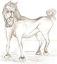 Caballo enbravecido