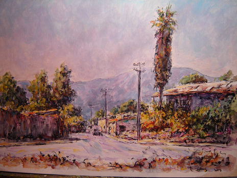 Calle borgoño copiapo