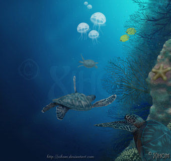 El Viaje de las Tortugas 