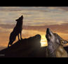 Canis Lupus